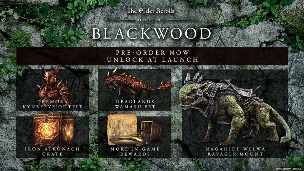 The Elder Scrolls Online Collection Blackwood on Xbox Series X S
