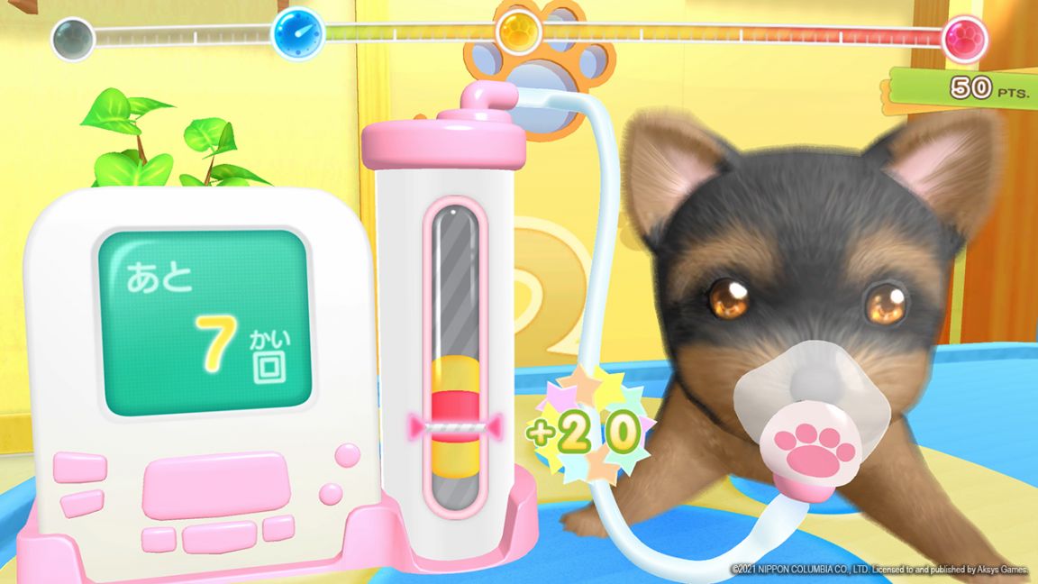 Aksys Games - Pups & Purrs Pet Shop for Nintendo Switch