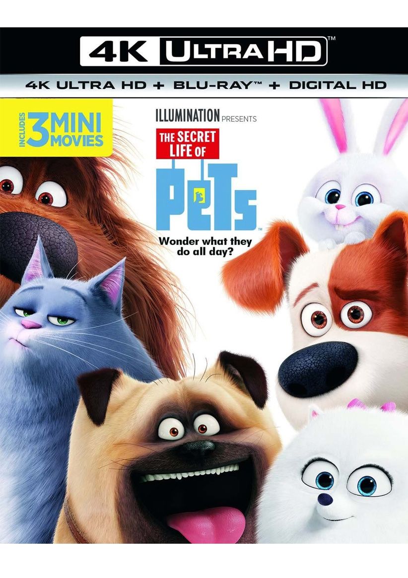 The Secret Life of Pets on 4K UHD