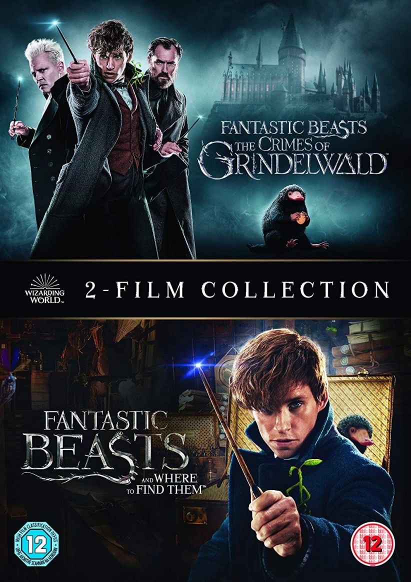 Fantastic Beasts: (2 Film Collection) on DVD