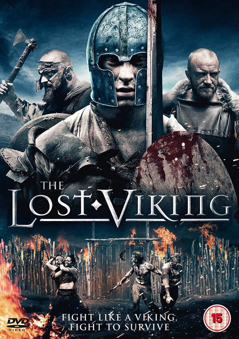 The Lost Viking on DVD