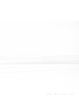 Foo Fighters - But Here We Are... 