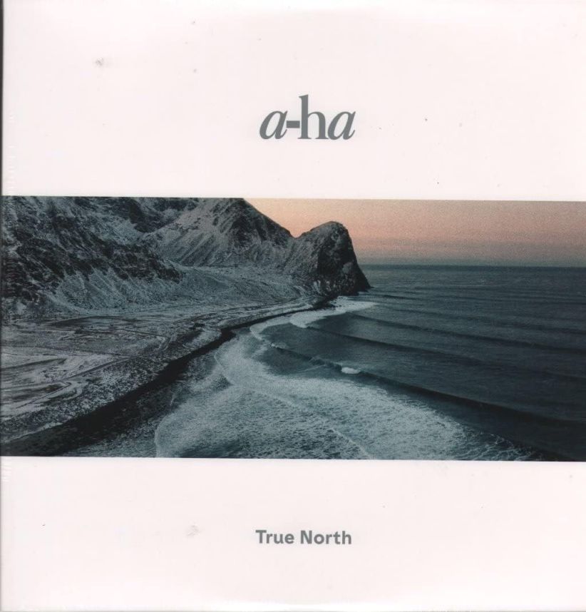 Aha - True North on Vinyl