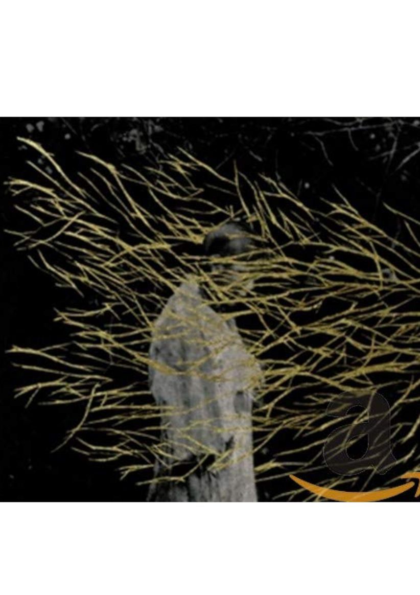 Forest Swords - Engravings on CD