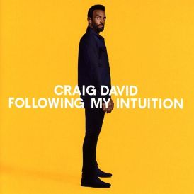 Craig David - Following My Intuition... 