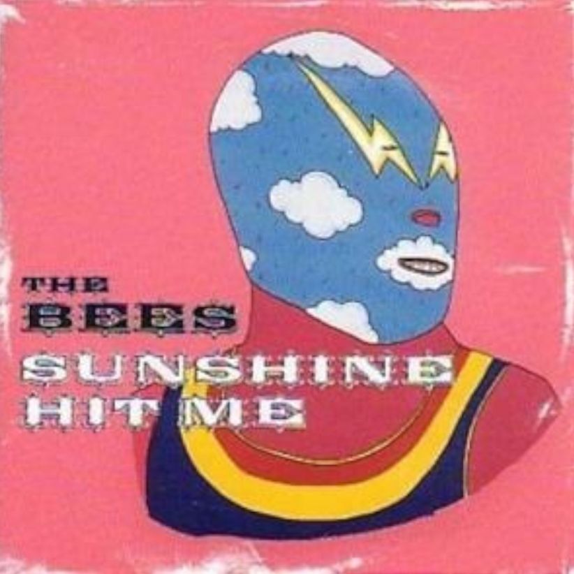 The Bees - Sunshine Hit Me on CD