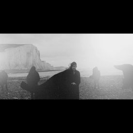 Dog in the Snow - Vanishing Lands... 