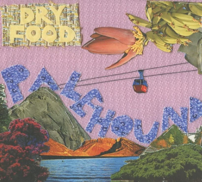 Palehound - Dry Food on CD
