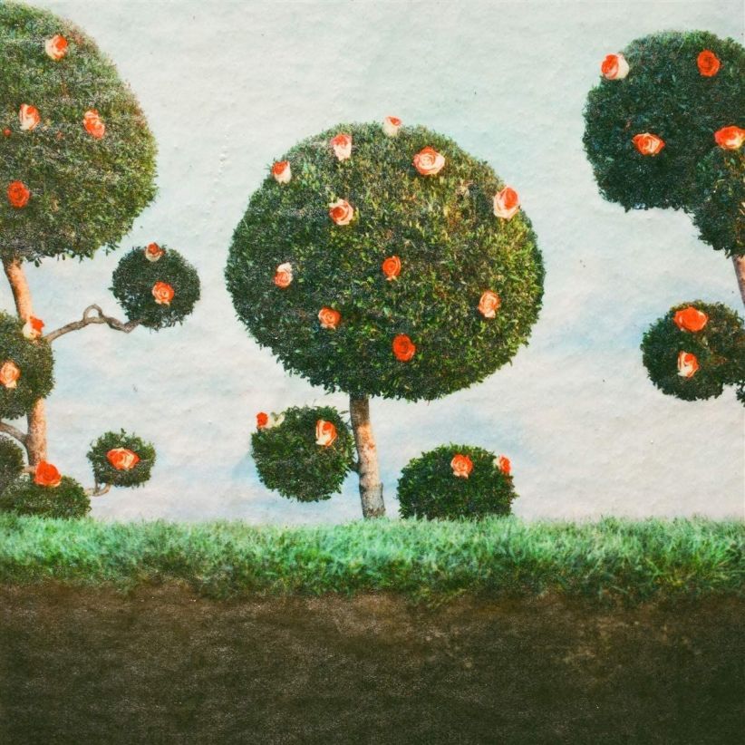 Midnight Sister - Painting the Roses on CD