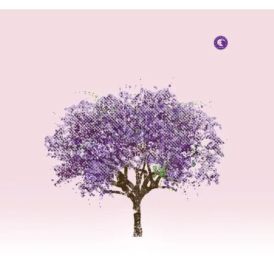 Eels - Tomorrow Morning... 