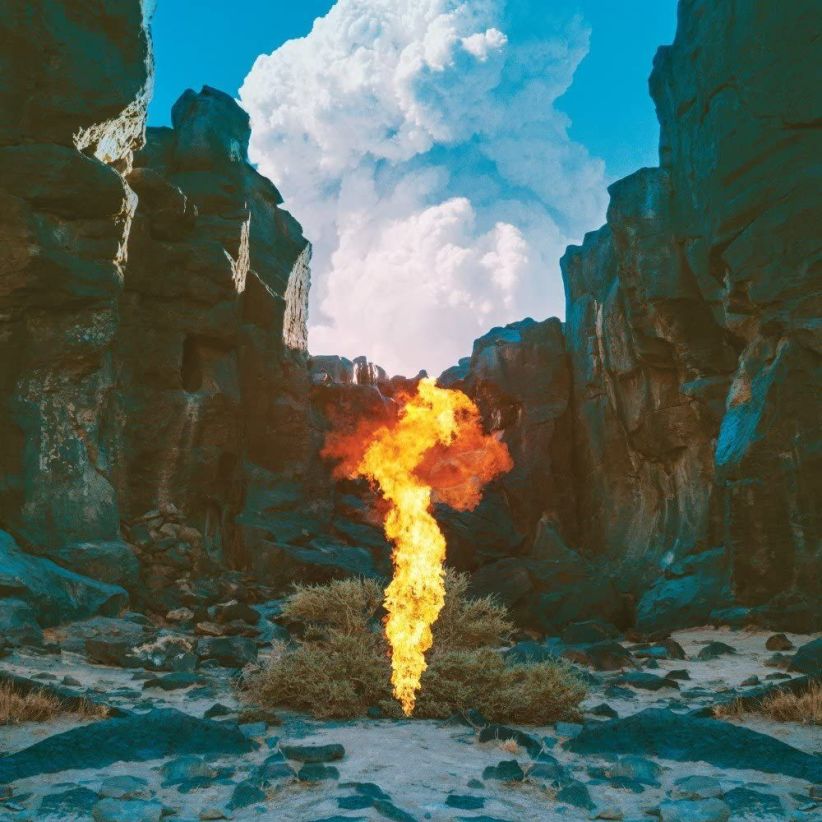 Bonobo - Migration on CD