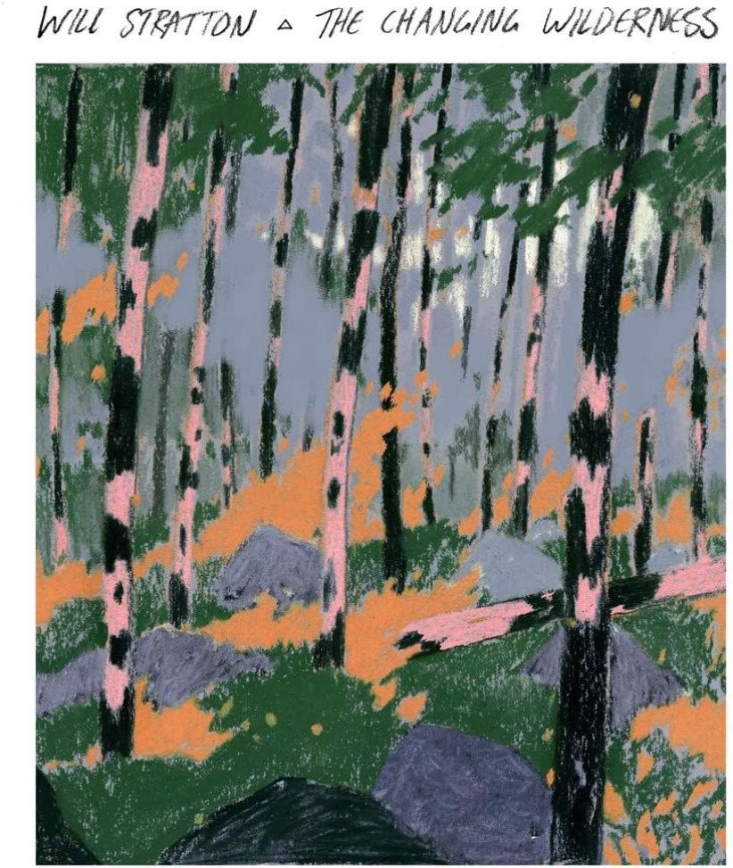 Will Stratton - The Changing Wilderness on CD