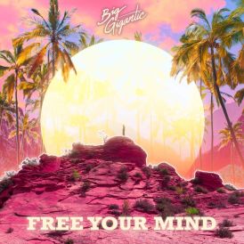 Big Gigantic - Free Your Mind... 