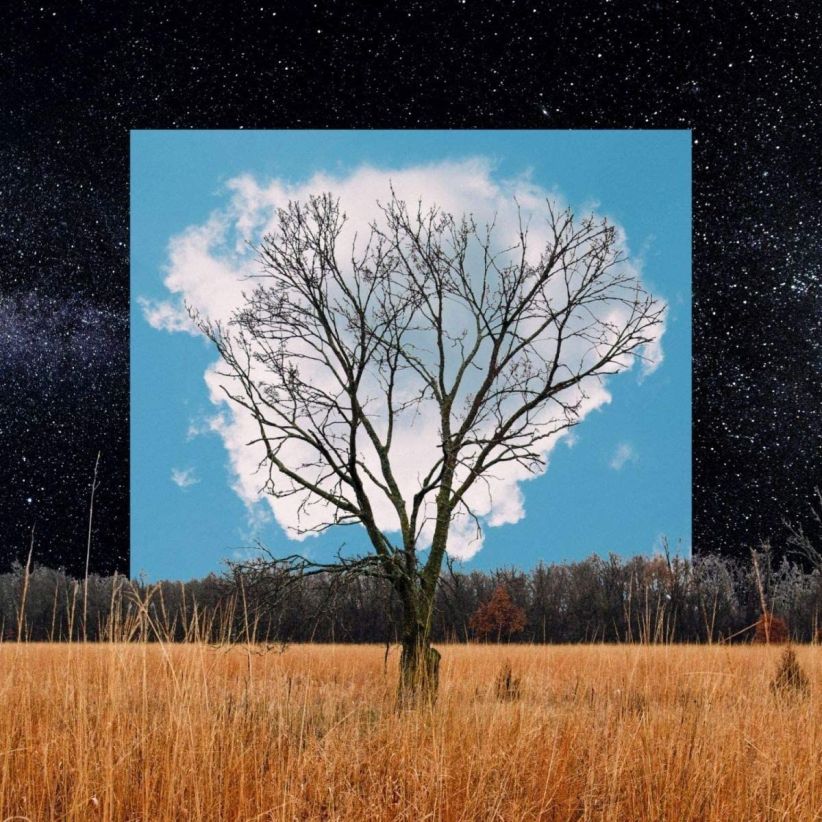 Fink - Bloom Innocent on CD