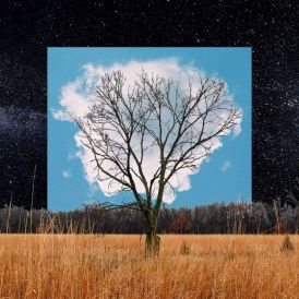 Fink - Bloom Innocent... 