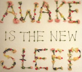 Ben Lee - Awake Is The New Sleep... 