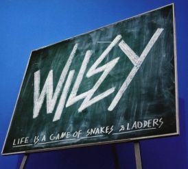 Wiley - Snakes and Ladders... 