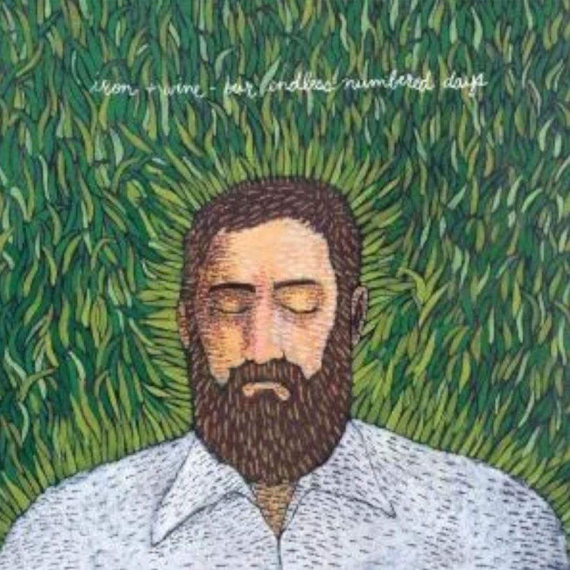 Iron & Wine - Our Endless Numbered Days on CD