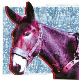 Protomartyr - Ultimate Success Today... 