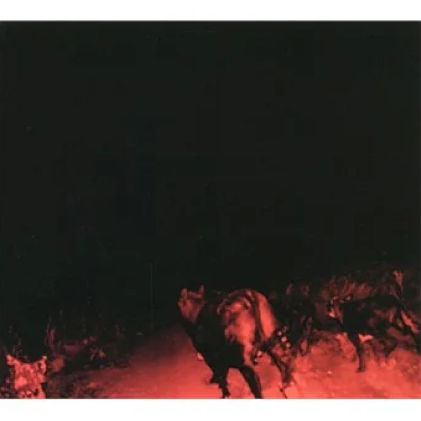 Bambara - Shadow On Everything on CD