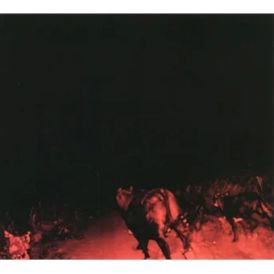 Bambara - Shadow On Everything... 