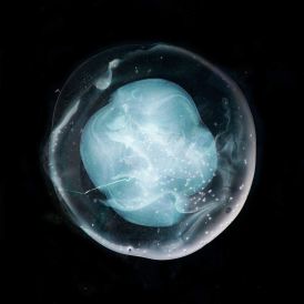 A Winged Victory For The Sullen - The Undivided Five... 