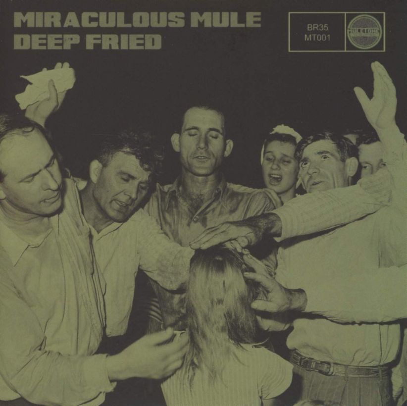 Miraculous Mule - Deep Fried on CD