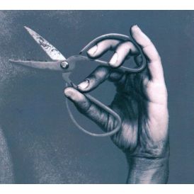 Buke and Gase - Riposte... 