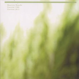 Maurizio Bianchi - Untitled 1980/Untitled 2013... 