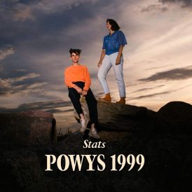 Stats - Powys 1999... 