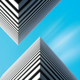 Snow Palms - Land Waves... 