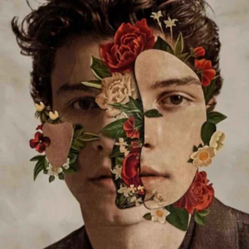 Shawn Mendes - The Album on CD