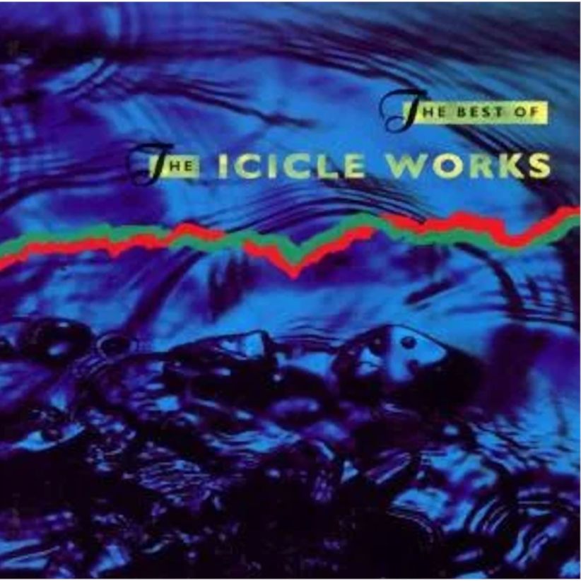 The Best Of The Icicle Works on CD
