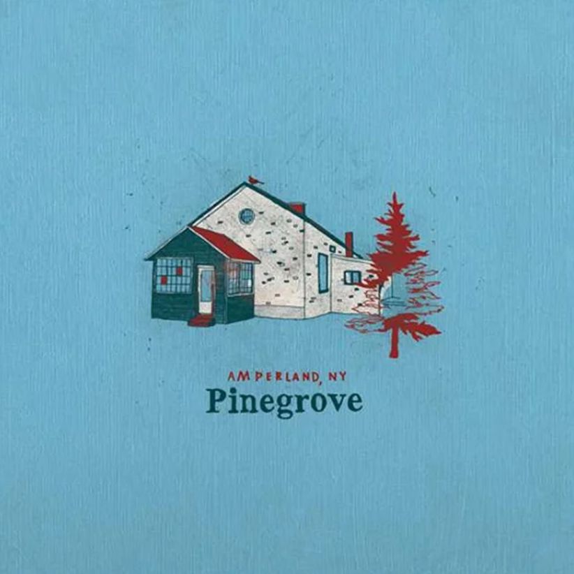 Pinegrove - Amperland, Ny on CD