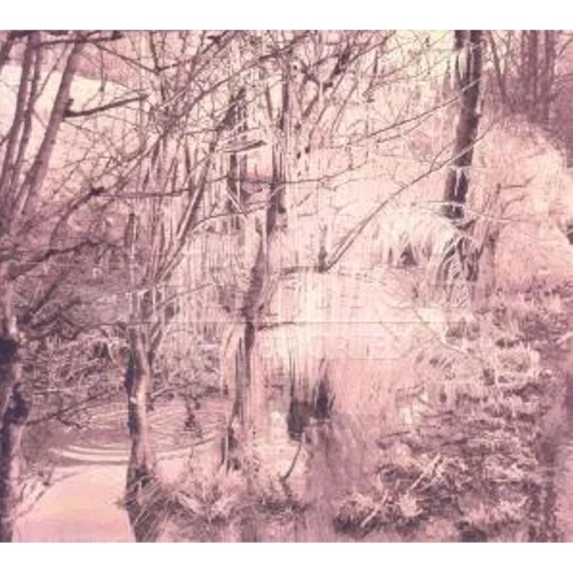 Esben And The Witch - Violet Cries on CD