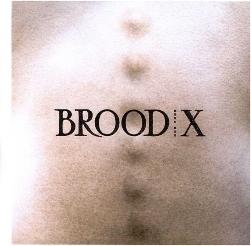 Boss Hog - Brood X on CD