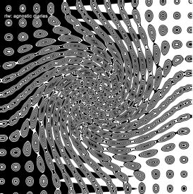 RLW - Agnostic Diaries... 