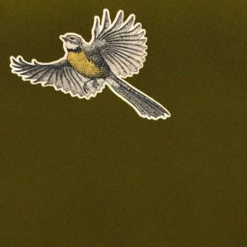 Ficino Ensemble - Winter... 