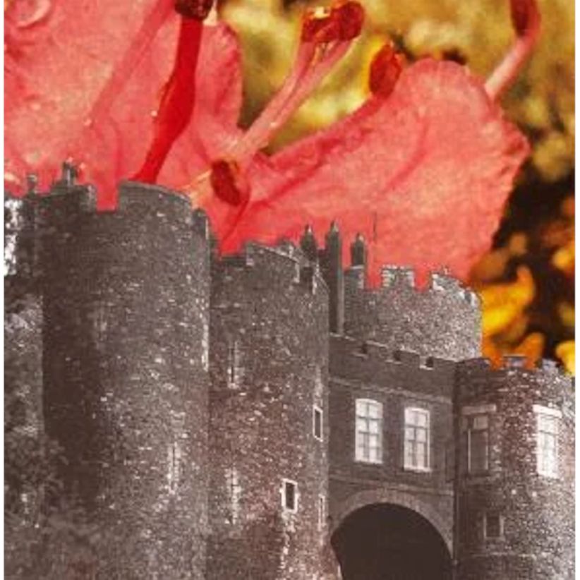 Deerhunter - Microcastle/Weird Era Continued on CD