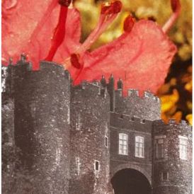 Deerhunter - Microcastle/Weird Era Continued... 