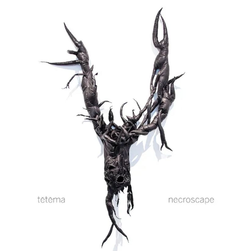 Tetema - Necroscape on CD