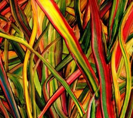 Gengahr - Where The Wildness Grows... 