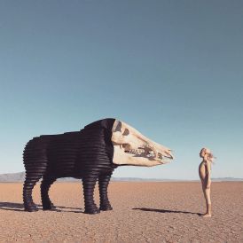 Man Man - Dream Hunting In The Valley Of The In-Between... 