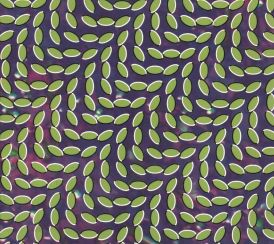 Animal Collective - Merriweather Post Pavilion... 