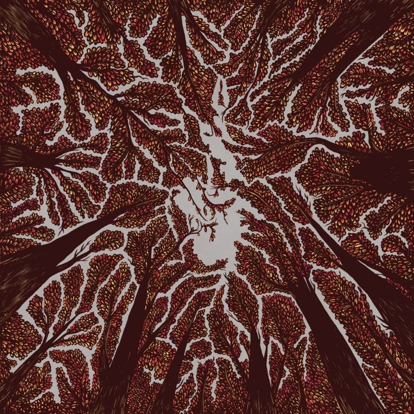 Trash Boat - Crown Shyness on CD