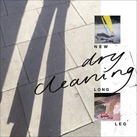 Dry Cleaning - New Long Leg... 