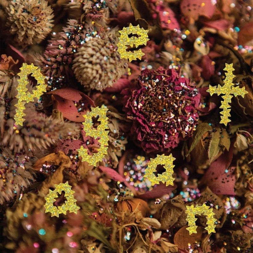 PWR BTTM - Pageant on CD