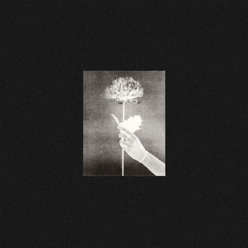 White Flowers - Day By Day on CD