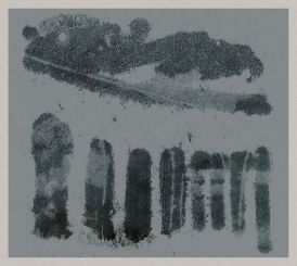 Bill Wells - The Viaduct Tuba Trio Plays The Music Of Bill W... 