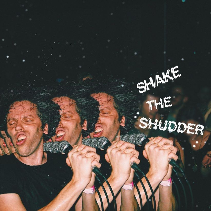 !!! - Shake The Shudder on CD